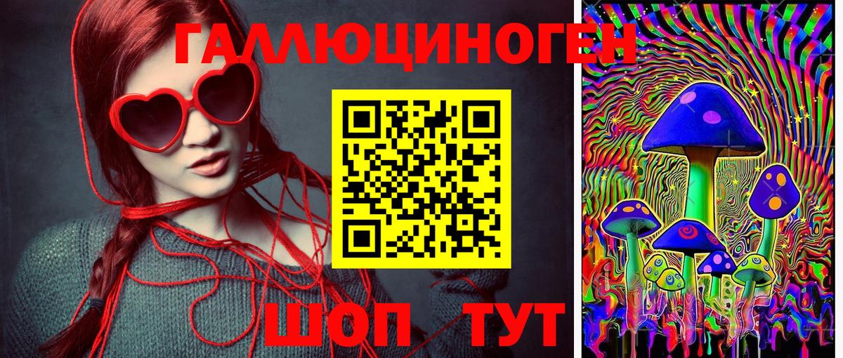 Псилоцибиновые грибы GOLDEN TEACHER  Вход с VPN  цена   Галлюциногенные грибы прущие грибы  Слободской 